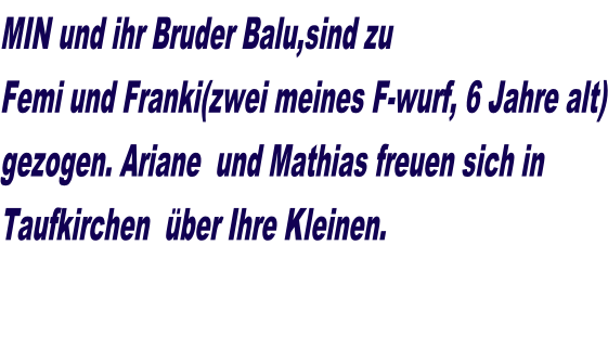 MIN und ihr Bruder Balu,sind zu  Femi und Franki(zwei meines F-wurf, 6 Jahre alt) gezogen. Ariane  und Mathias freuen sich in Taufkirchen  über Ihre Kleinen.