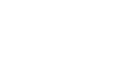 Alice-Zenzi Chocolat-tortie Ist bei Rocco(vom R-Wurf),  da sein Birma-Kumpel leider verstorben ist.