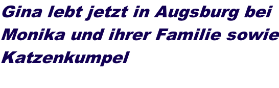 Gina lebt jetzt in Augsburg bei  Monika und ihrer Familie sowie Katzenkumpel