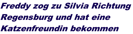 Freddy zog zu Silvia Richtung  Regensburg und hat eine  Katzenfreundin bekommen